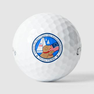 Pelotas De Golf Annapolis America 250th Anniversary 