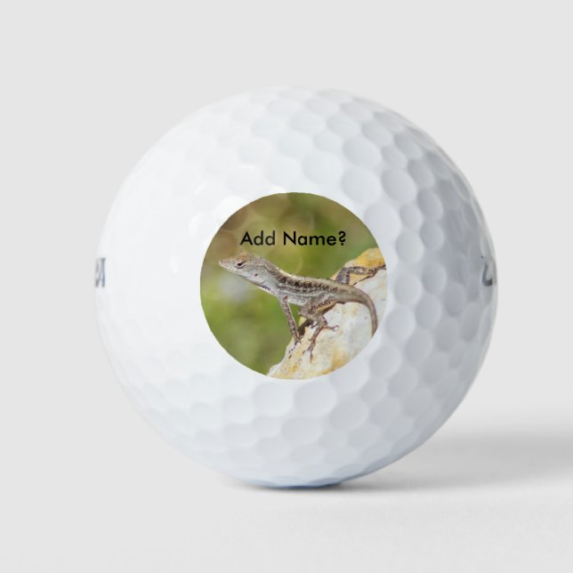 Pelotas De Golf Anole Lizard Photo Golf Balls (Anverso)