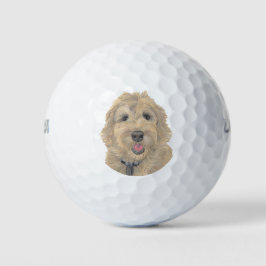 Pelotas De Golf Apricot Golden Doodle