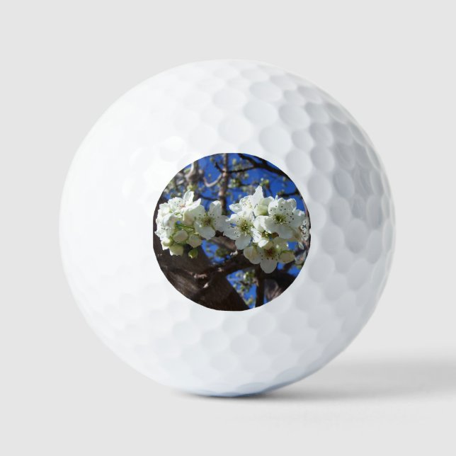 Pelotas De Golf Árbol de peras florido de primavera de los Cluster (Anverso)