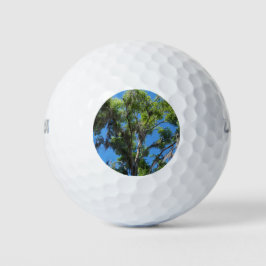 Pelotas De Golf Árbol de roble contra cielo azul
