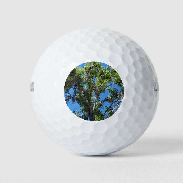 Pelotas De Golf Árbol de roble contra cielo azul (Anverso)
