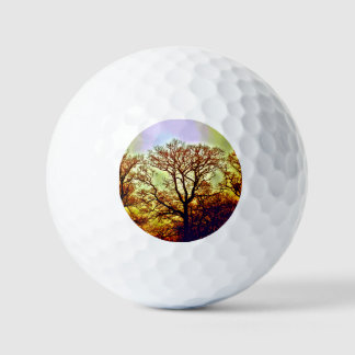 PELOTAS DE GOLF ÁRBOLES CON SOL BRUMOSO