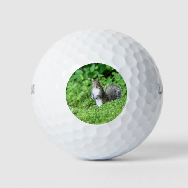 Pelotas De Golf Ardilla (Anverso)