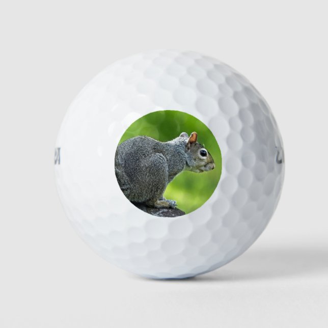 Pelotas De Golf Ardilla (Anverso)