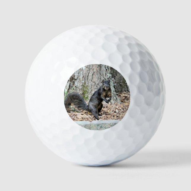 Pelotas De Golf Ardilla (Anverso)