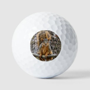 Pelotas De Golf Ardilla de zorro falso