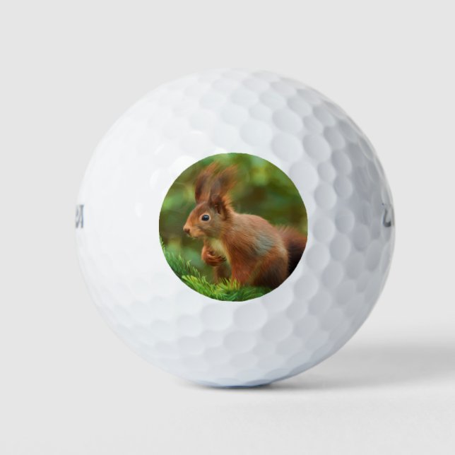 Pelotas De Golf Ardilla en un árbol (Anverso)