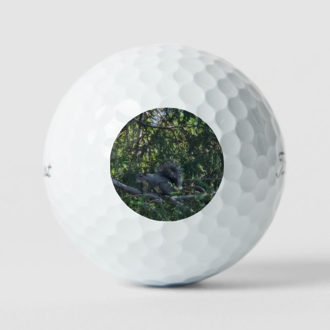 Pelotas De Golf Ardilla gris (Anverso)