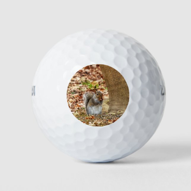 Pelotas De Golf ardilla hambrienta (Anverso)