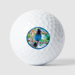 Pelotas De Golf Arrendajo de Steller - Fotografía Original