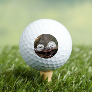 Pelotas De Golf Arte de vida silvestre del bosque de pareja de búh