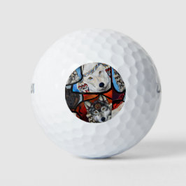 PELOTAS DE GOLF ARTE DE WOLF DEL SUROESTE