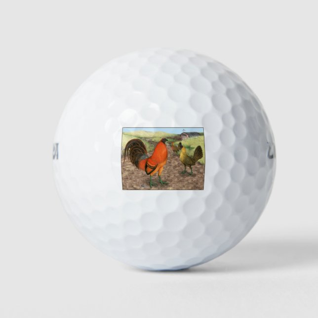 Pelotas De Golf Aves de pelea en la granja (Anverso)