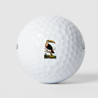 Pelotas De Golf Aves Linnaeus - Toucan