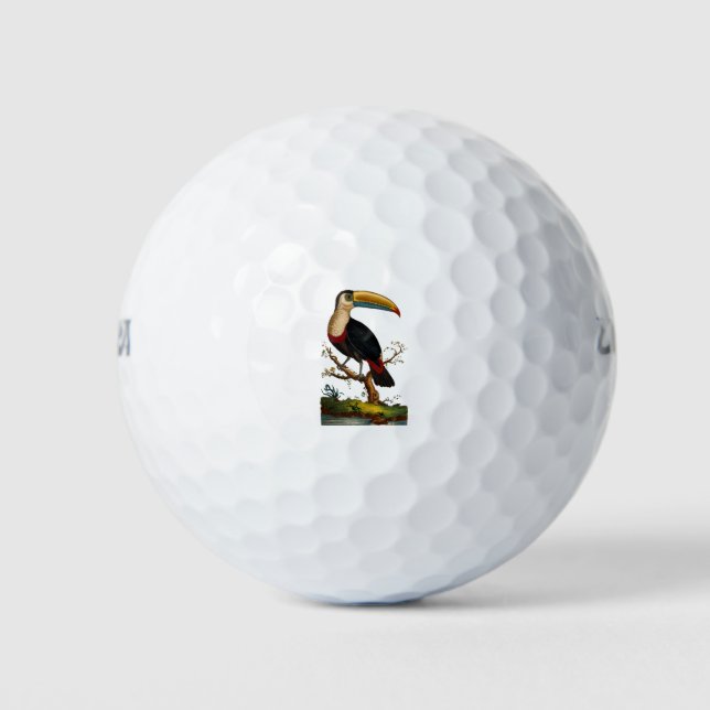 Pelotas De Golf Aves Linnaeus - Toucan (Anverso)