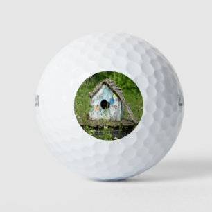 Pelotas De Golf Aves vacías