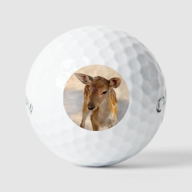 Pelotas De Golf Baby Deer (Anverso)
