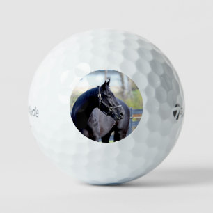 Pelotas De Golf Ball de golf Thoroughbred