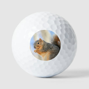 Pelotas De Golf Baloncesto actual