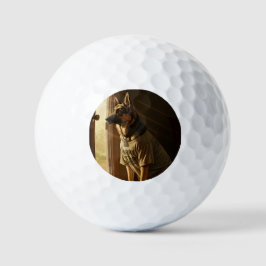 Pelotas De Golf Baloncesto de golf de perro del ejército - regalo 