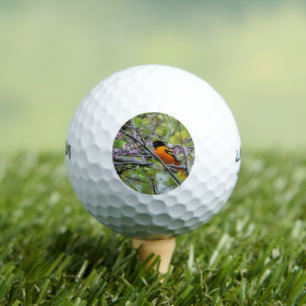 Pelotas De Golf Baltimore Oriole