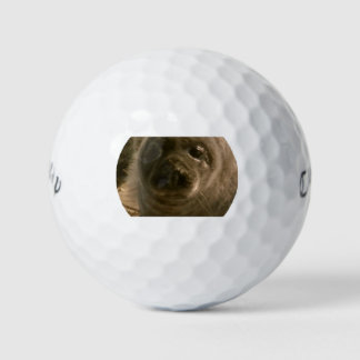 Pelotas De Golf Bandas de golf para focas de bebé