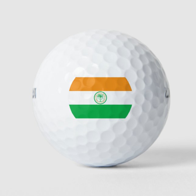 Pelotas De Golf Bandera de la Ciudad de Miami (Florida) (Anverso)