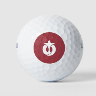 Pelotas De Golf Bandera de la prefectura de Aichi, Japón