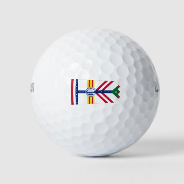 Pelotas De Golf Bandera de Tampa, Florida Golf Balls (Anverso)