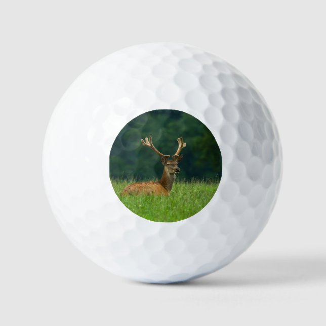 Pelotas De Golf Barasingha deer (Anverso)