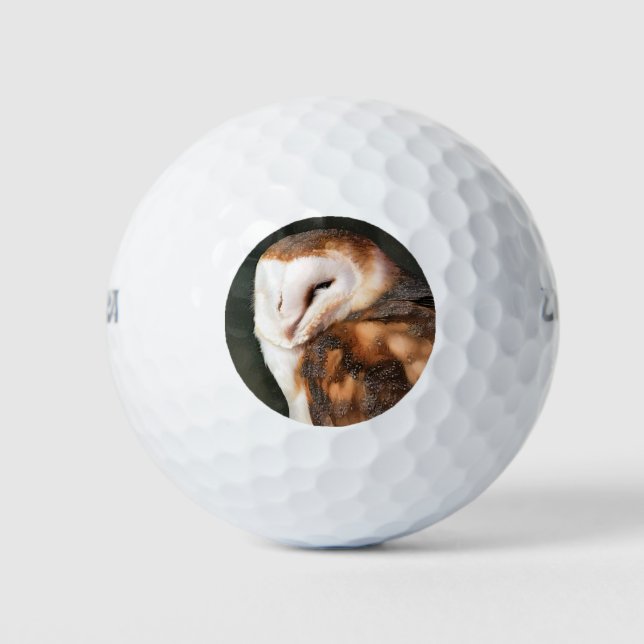 PELOTAS DE GOLF BARN OWL (Anverso)