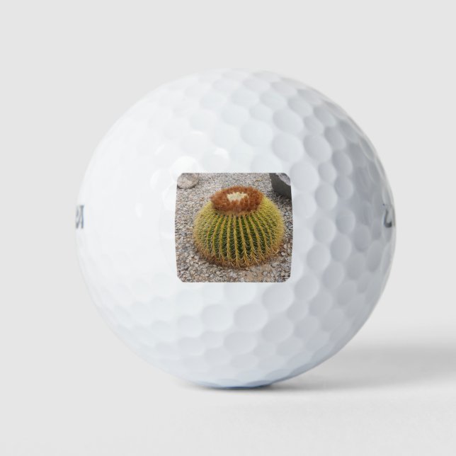 Pelotas De Golf Barrel Cactus (Anverso)