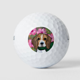 Pelotas De Golf Beagle