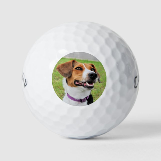 Pelotas De Golf Beagle (Anverso)
