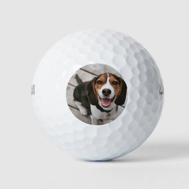 Pelotas De Golf Beagle_puppy (Anverso)