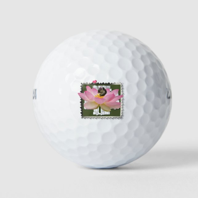 Pelotas De Golf Bebé Ardilla  (Anverso)