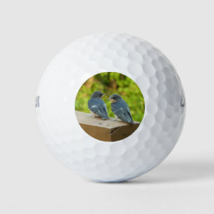 Pelotas De Golf Bebé Traga fotografías de aves naturales