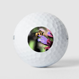 Pelotas De Golf Bee and Flower wu gbcna