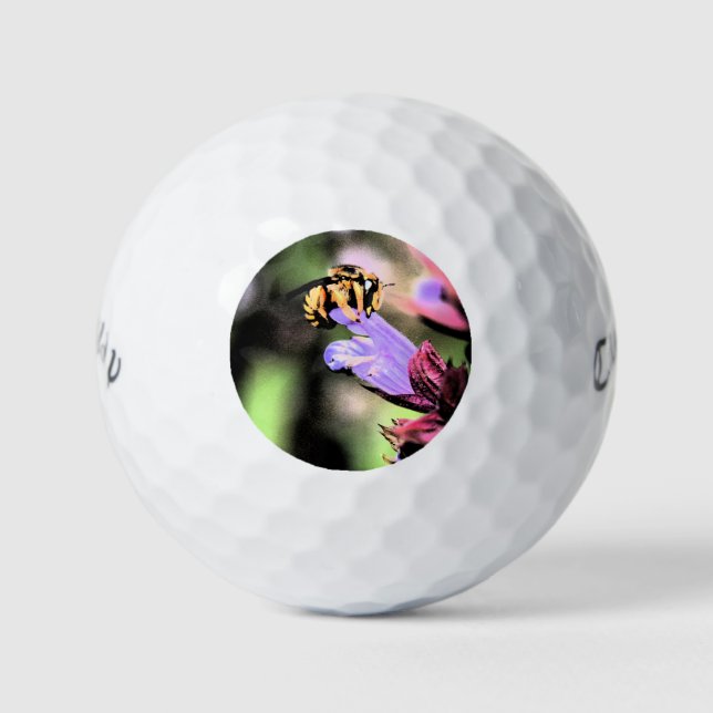 Pelotas De Golf Bee y Flower cwb gbcna (Anverso)