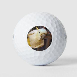 Pelotas De Golf Bella boy