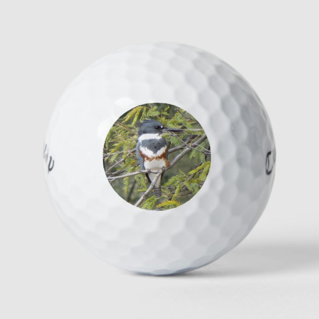 Pelotas De Golf Belted Kingfisher (Anverso)