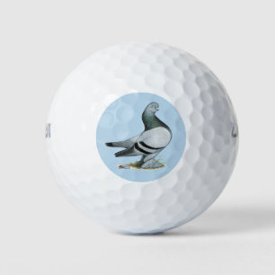 Pelotas De Golf Berliner Tumbler Pigeon Blue Bar