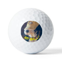 Birdie the Bernedoodle en gorra de golf amarillo