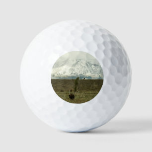 Pelotas De Golf Bison en la fotografía del parque nacional del Gra