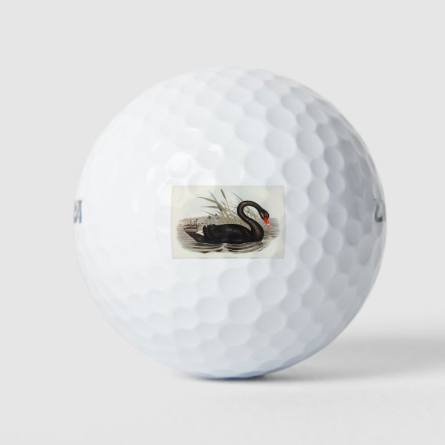 Pelotas De Golf Black Swan Vintage (Anverso)
