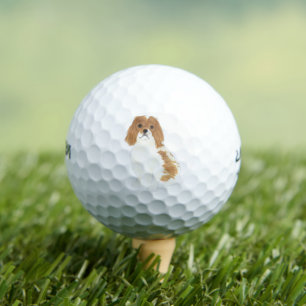 Pelotas De Golf Blenheim Cavalier King Charles Spaniel