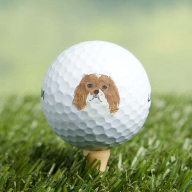 Pelotas De Golf Blenheim Cavalier King Charles Spaniel (Camiseta in situ)