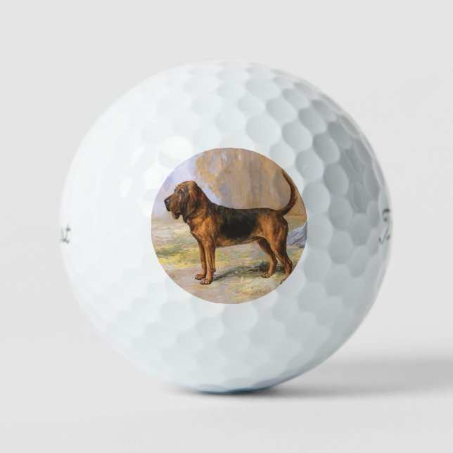 Pelotas De Golf Bloodhound (Anverso)