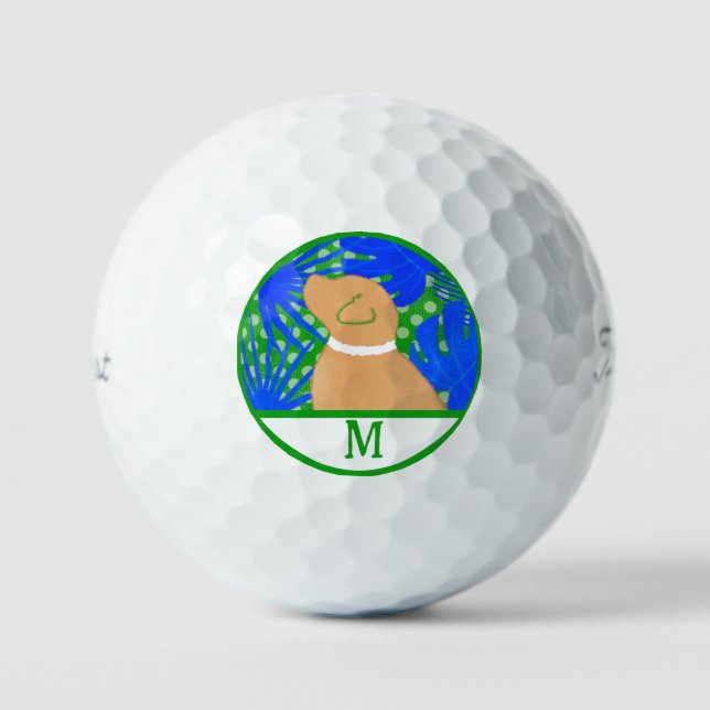 Pelotas De Golf Blue Green Island Yellow Dog Ball (Anverso)